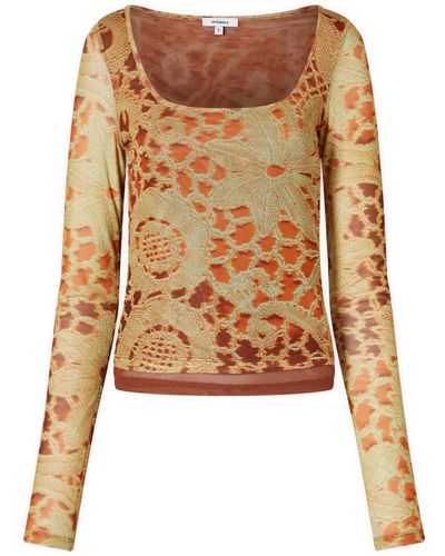 Miaou Victoire Top - Brown