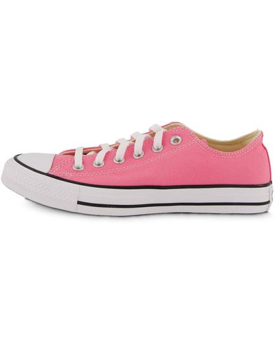 Converse Sneaker CHUCK TAYLOR ALL STAR CLASSIC LOW - Pink