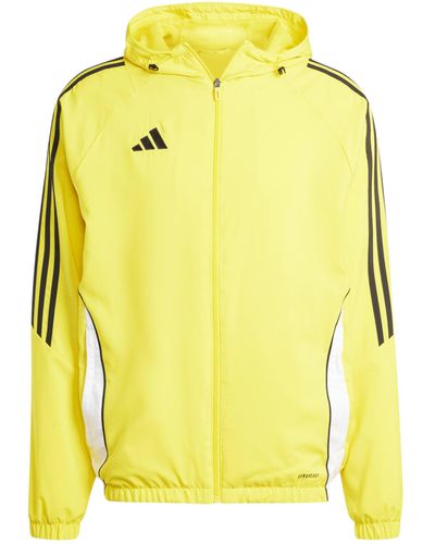 adidas Originals Fußball - Teamsport Textil - Jacken Tiro 24 Windbreaker - Gelb