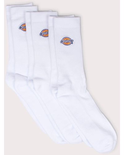 Dickies Three Pack Of Valley Grove Embroidered Socks - White