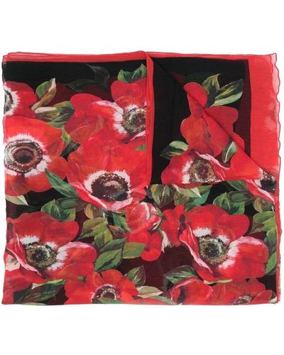 Dolce & Gabbana Poppy-print 115x190cm Scarf - Red