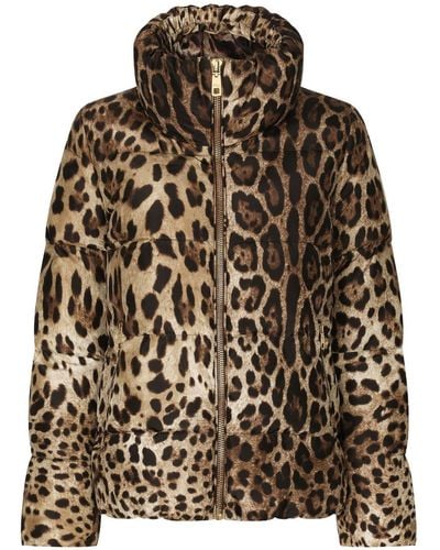 Dolce & Gabbana Leopard-Print Padded Jacket - Brown