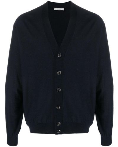 Lemaire V-neck Wool-blend Cardigan - Blue