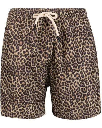 MATINEÉ Leopard-Print Swim Shorts - Gray