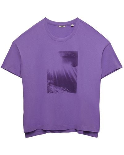 Esprit Curvy Baumwoll-T-Shirt mit Print auf der Vorderseite - Lila