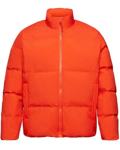 Esprit Steppjacke Jackets outdoor woven - Orange