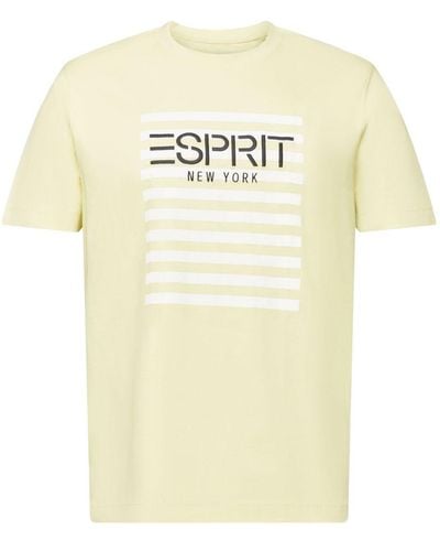 Esprit T-shirt Met Ronde Hals En Logo - Meerkleurig