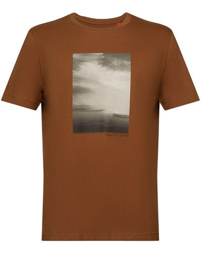 Esprit T-shirt à imprimé en coton biologique - Marron