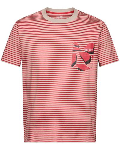 Esprit Gestreiftes T-Shirt aus Baumwolljersey (1-tlg) - Pink