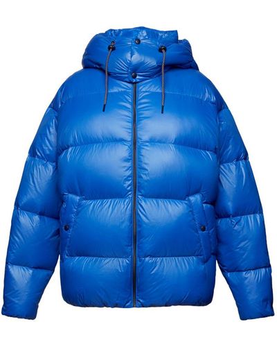 Esprit Winterjacke Glänzende Steppjacke mit Daunen - Blau