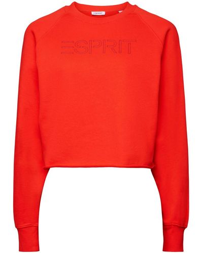 Esprit Cropped Sweatshirt Met Logo - Rood