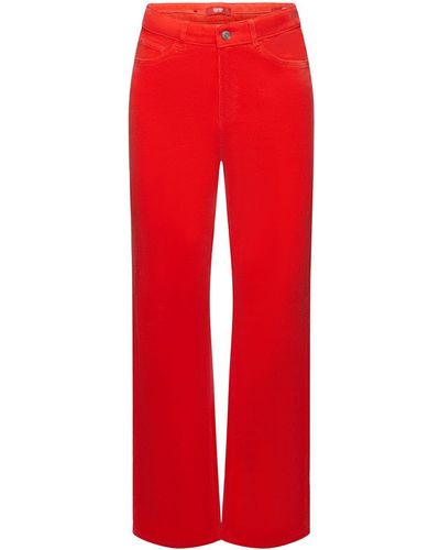 Esprit Pantalon en velours côtelé coupe Straight Fit taille haute - Rouge