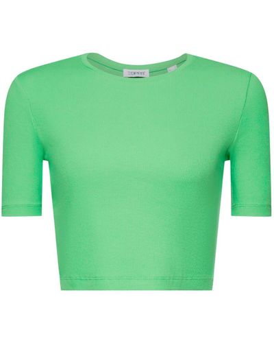 Esprit Geripptes Baumwoll-T-Shirt in verkürzter Länge (1-tlg) - Grün