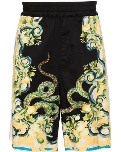 Roberto Cavalli Lemon And Snake-print Bermuda Shorts - Green