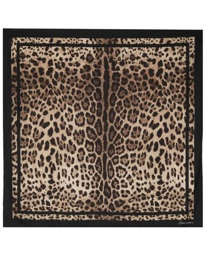 Dolce & Gabbana Leopard-print Silk Scarf - Black