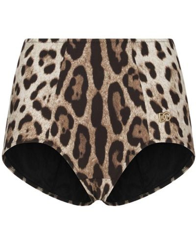 Dolce & Gabbana Leopard-print High-waisted Bikini Bottom - Black