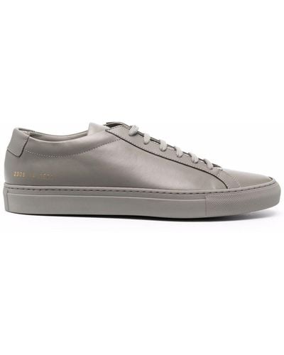 Common Projects Sneakers Gray