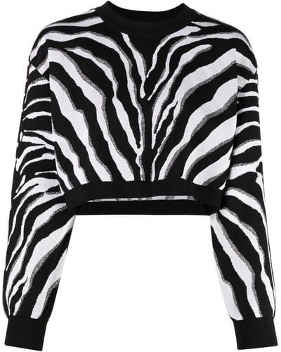 Dolce & Gabbana Zebra-print Cropped Sweater - Black