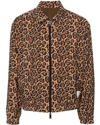 Emporio Armani Cheetah-print Reversible Jacket - Brown