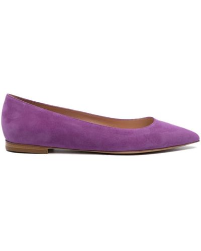 Gianvito Rossi Poined-toe Flat Ballerina Shoes - Purple