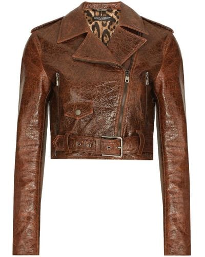 Dolce & Gabbana Cropped Buckled Biker Jacket - Brown