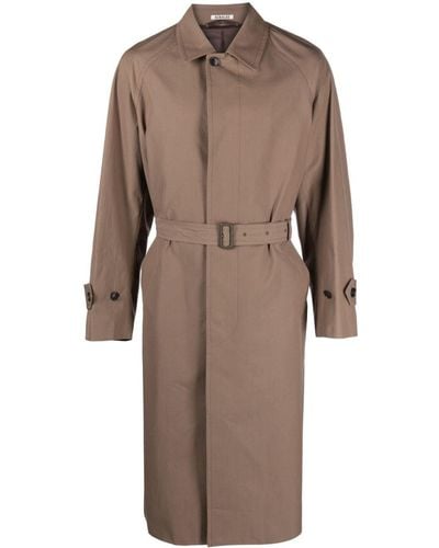 AURALEE Belted Button-up Cotton Coat - Brown