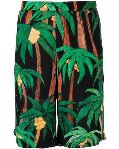 Endless Joy Palm Tree-print Bermuda Shorts - Green