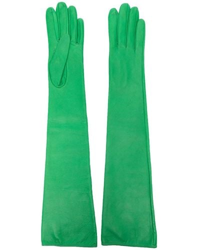 Manokhi Ellenbogenlange Lederhandschuhe - Grün