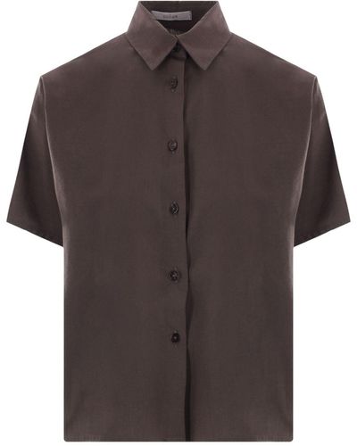 Dusan Classic-collar Cotton Shirt - Brown