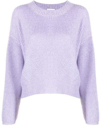 Allude Cashmere Ribbed-knit Sweater - Purple