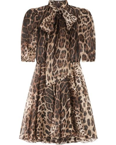 Dolce & Gabbana Leopard-print Organza Minidress - Brown