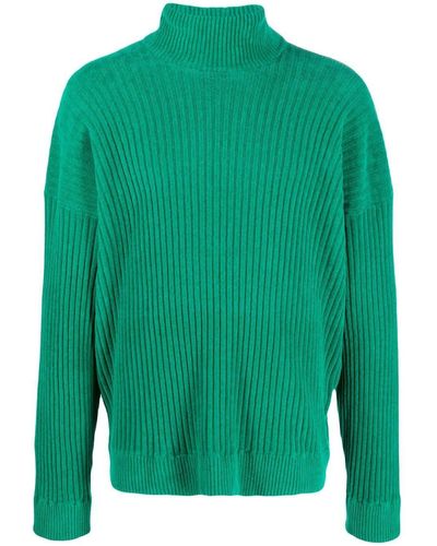 Bonsai Ribbed Roll-neck Sweater - Green