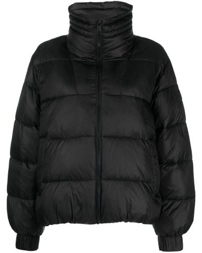 BOSS Funnel-neck Padded Puffer Jacket - Black