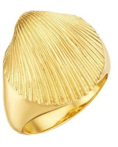 CADAR 18kt Yellow Gold Shell Signet Ring - Metallic
