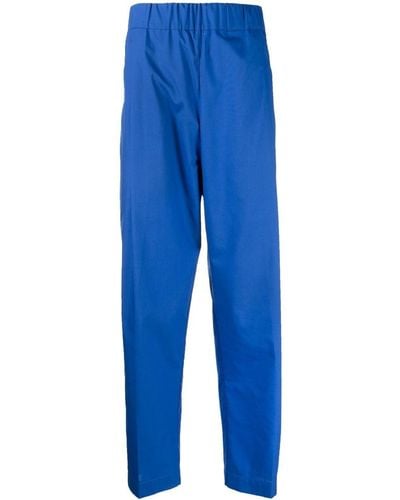 Laneus Pantalon à coupe droite - Bleu