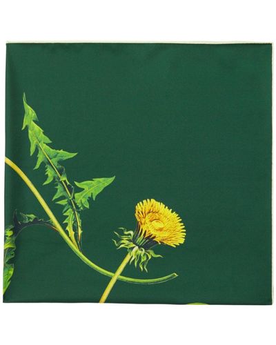 Burberry Dandelion Floral-print Scarf - Green