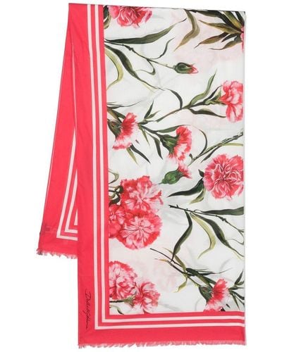 Dolce & Gabbana Floral-print Cotton Scarf - Pink