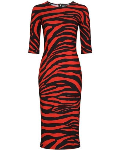 Dolce & Gabbana Zebra-print Midi Dress - Red