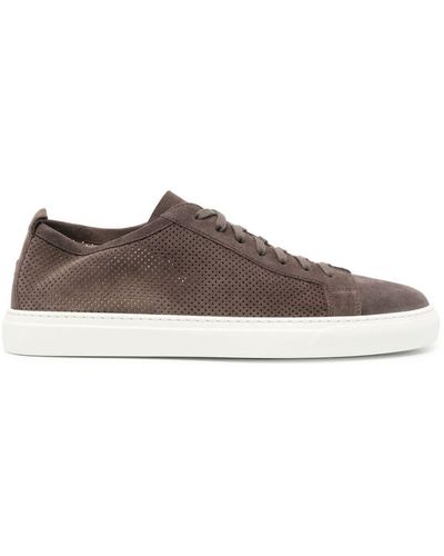 Henderson Iconic Low-top Suede Sneakers - Brown
