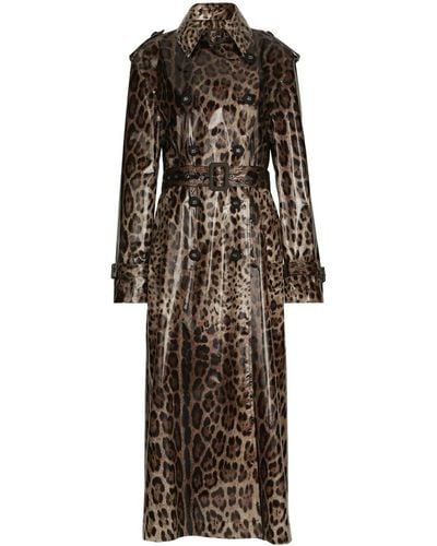 Dolce & Gabbana Leopard-Print Coated Sateen Trench Coat - Brown