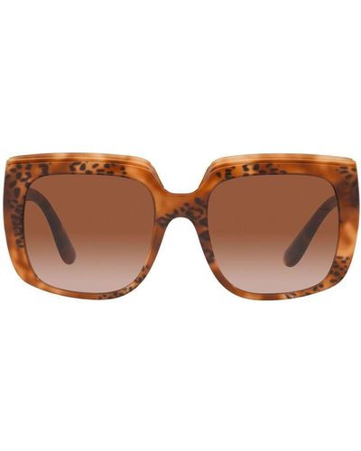 Dolce & Gabbana Oversized-Sonnenbrille in Schildpattoptik - Braun