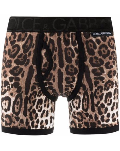 Dolce & Gabbana Leopard-print Long-leg Briefs - Multicolor