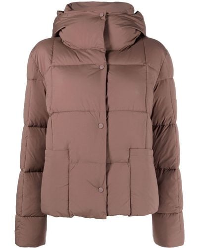 Closed Jackets for Women | Online Sale up to 50% off | Lyst