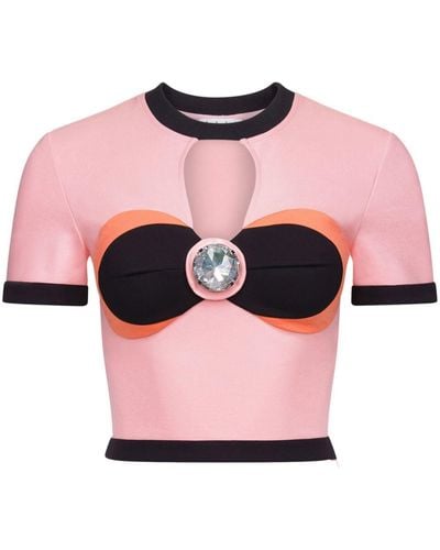 Area Colour-block Cropped Top - Pink