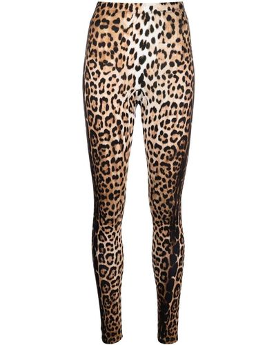 Roberto Cavalli Leopard-print High-waisted leggings - Black