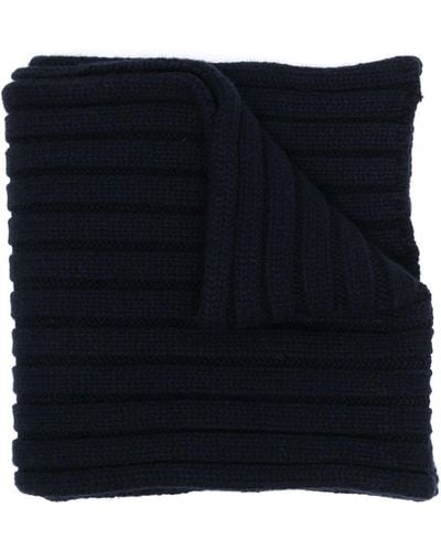 Patou Ribbed-knit Wool Scarf - Blue