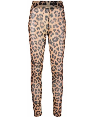 Philipp Plein Leopard-print Semi-sheer leggings - Black
