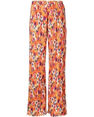 MSGM Pleated Floral-print Pants - Orange
