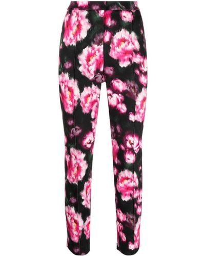 Adam Lippes Daphne Floral-print Straight Trousers - Red