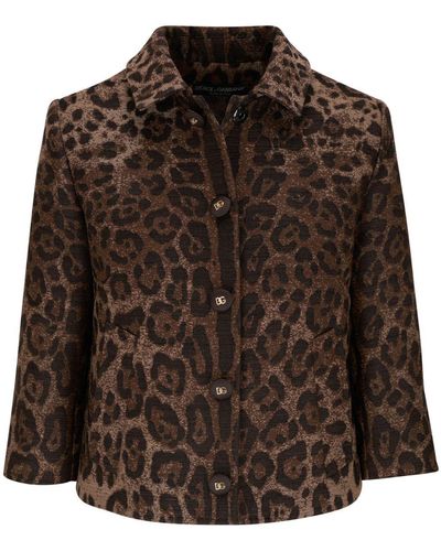 Dolce & Gabbana Leopard-patterned Jacquard Jacket - Brown